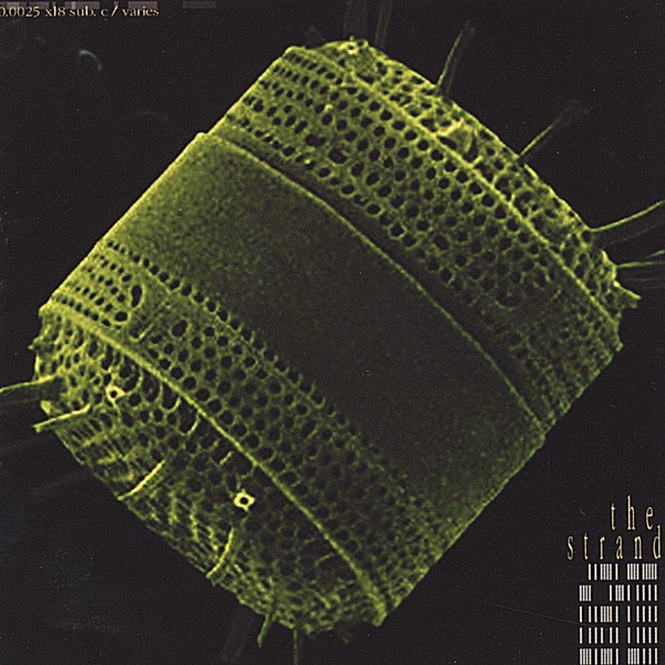 Diatom cover art